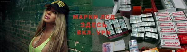 кокс Алексин