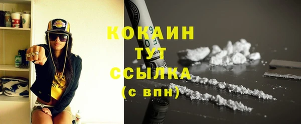 кокс Алексин