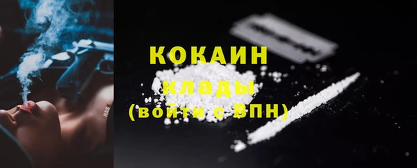 трава Осинники